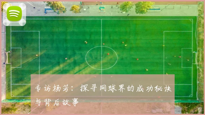 专访杨芳：探寻网球界的成功秘诀与背后故事
