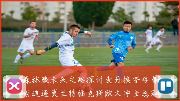 森林狼未来之路探讨麦丹换字母哥或追逐莫兰特福克斯欧文冲击总冠军
